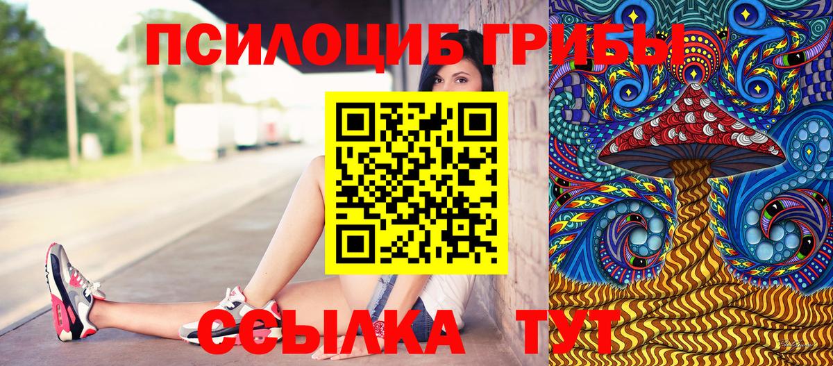 Галлюциногенные грибы Magic Shrooms Новороссийск